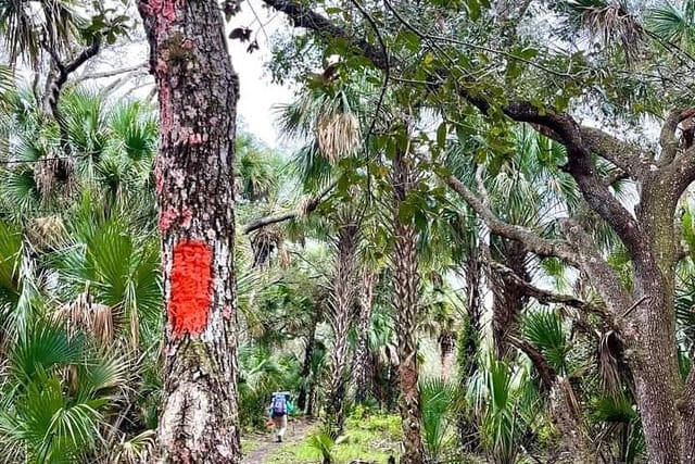 Backpacking through the wild Florida Backcountry. 